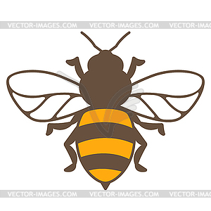 Honey bee. Image for food and agricultural industry - vector image