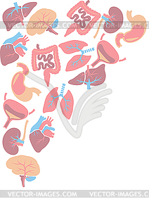 Background with internal organs. Human body anatomy - vector image