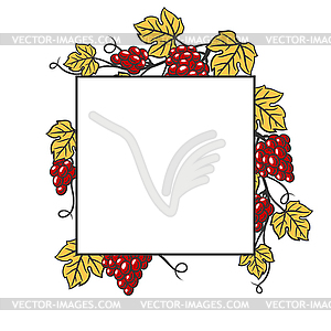 Background of vine with leaves and bunches of - vector image