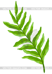 Branch and green leaves. Spring or summer stylized - royalty-free vector clipart