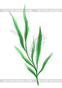 Branch and green leaves. Spring or summer stylized - vector clipart