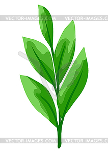 Branch and green leaves. Spring or summer stylized - vector clipart