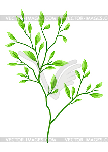 Branch and green leaves. Spring or summer stylized - vector clip art