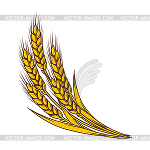 Bunch of wheat. Agricultural image with natural ear - vector image