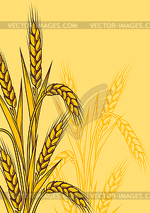 Background with wheat. Agricultural image with - vector clip art