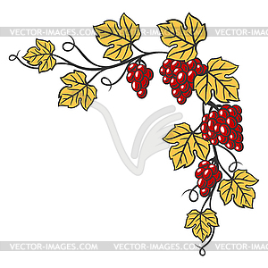 Каркас из виноградной лозы с листьями и гроздьями винограда. - векторный клипарт / векторное изображение