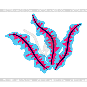 Sea plant algae. Marine life aquarium and sea flora - vector clip art