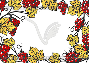 Background of vine with leaves and bunches of - vector clipart