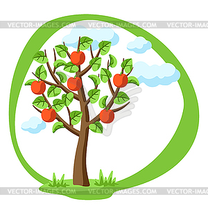 Summer tree with apples and leaves. Seasonal  - vector EPS clipart