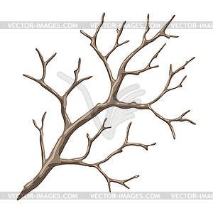 Dry bare branch. Decorative natural twig - vector image