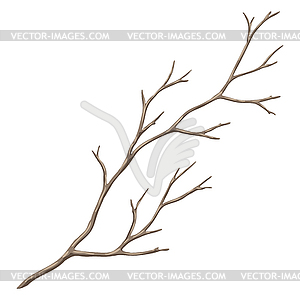 Dry bare branch. Decorative natural twig - vector clipart