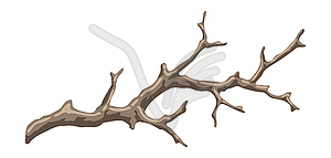 Dry bare branch. Decorative natural twig - vector image