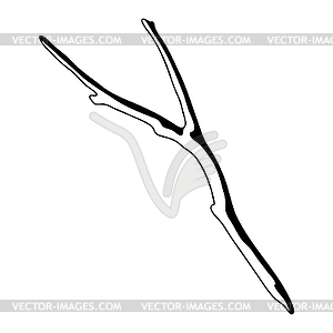 Dry bare branch. Decorative natural twig - vector clipart / vector image