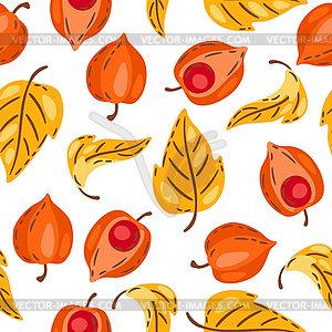 Seamless pattern of fesalis with berries. autumn - vector clipart