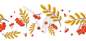 Seamless pattern of rowan with berries. autumn plant - vector clip art