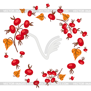 Frame of branches with rose hips. autumn plant - vector clip art