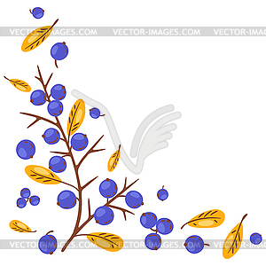 Background of horn branch with berries. autumn plant - royalty-free vector image