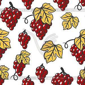 Seamless pattern of vine with leaves and bunches - vector clipart
