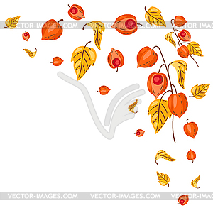 Background of fesalis sprigs with berries. autumn - vector clipart