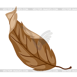 Autumn leaf. Stylized seasonal plant - vector clipart