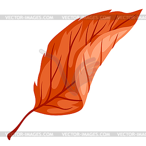 Осенний лист. Стилизованное сезонное растение - векторизованный клипарт