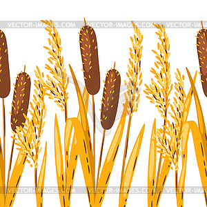 Бесшовный узор из камыша или тростника. осеннее растение - векторный клипарт EPS