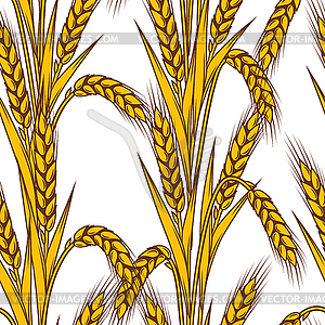 Seamless pattern with wheat. Agricultural image wit - vector image