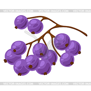 Blueberry. Decorative ripe berries - vector image