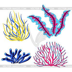 Set of sea algae and corals. Marine life aquarium - vector clipart