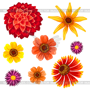 Set of autumn flowers. Beautiful decorative - vector EPS clipart