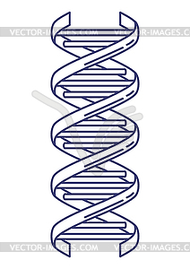 Dna model. Medical and scientific item - vector clip art