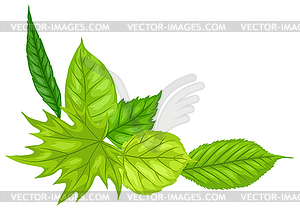 Background with spring leaves. Beautiful - vector image