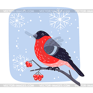 Зимняя птица снегирь и ягоды рябины. Веселый - векторный клипарт / векторное изображение