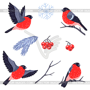 Winter set of birds bullfinches and plants. Merry - vector EPS clipart