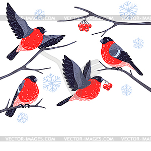 Winter background with birds bullfinches and plants - stock vector clipart