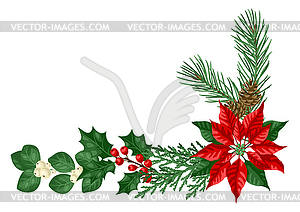Element with winter plants. Merry Christmas and - vector image