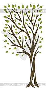 Spring or summer tree with green leaves. Natural  - vector clip art