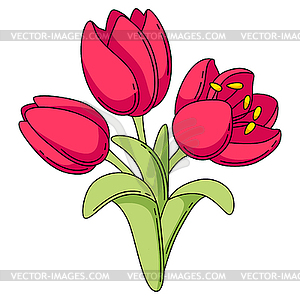 Happy Valentine Day tulips bouquet. Holiday romanti - vector image
