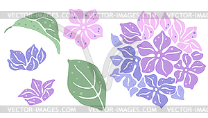 Set of hydrangea flowers. Beautiful decorative - vector clipart