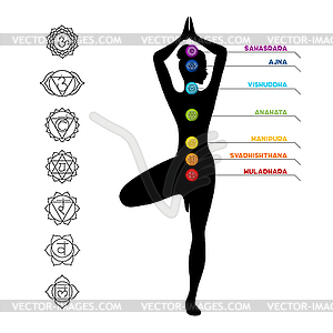 Color chakra scheme - vector image