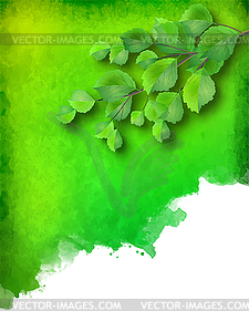 Watercolor spot with green leaves - vector clipart