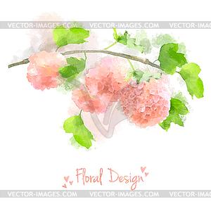 Watercolor Flowers Hydrangea - vector clipart