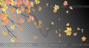 Autumn background with maple leaves - vector clipart / vector image