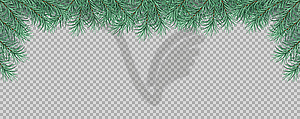 Christmas tree branches - vector clipart