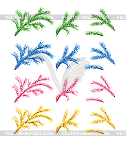 Set of Fir Branches - vector clip art