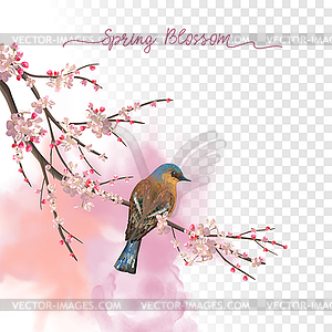Watercolor Spring Blossom - royalty-free vector clipart