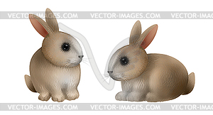 Fine Bunny Rabbit - vector clipart