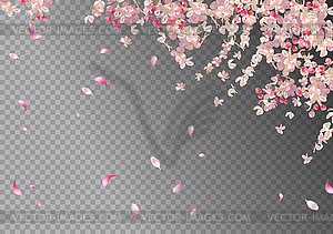 Spring Blossom Background - vector clipart