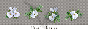 Set of Flowers - vector image