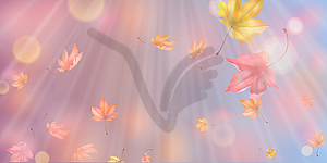 Fallen Autumn Leaves - vector image